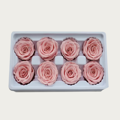 Forever Roses - 8 Pack