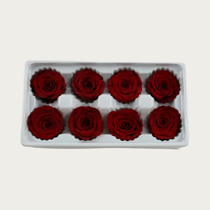 Forever Roses - 8 Pack